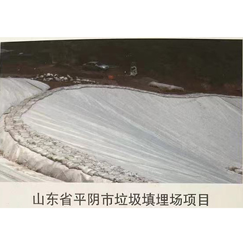 山東省平陰市垃圾填埋場(chǎng)項(xiàng)目